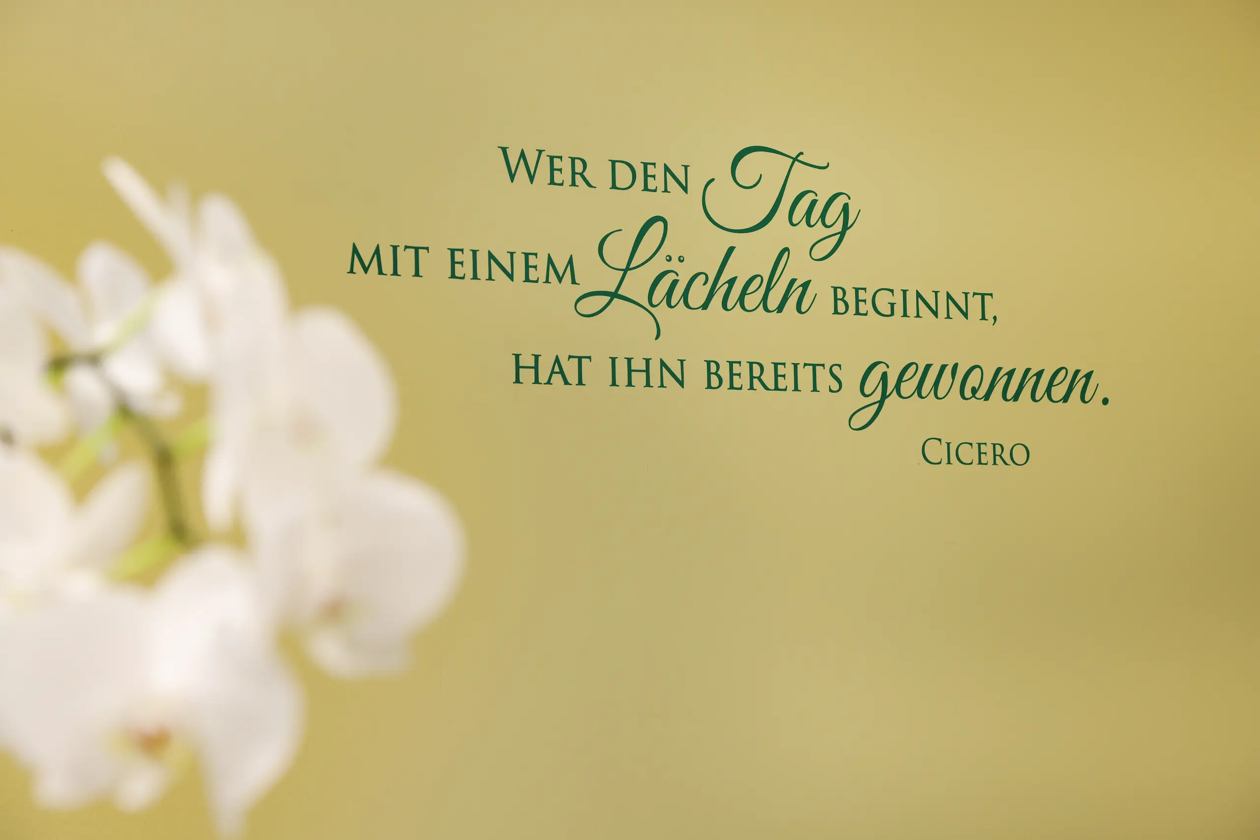 Zitat an gelber Wand: „Wer den Tag mit einem Lächeln beginnt, hat ihn bereits gewonnen.“