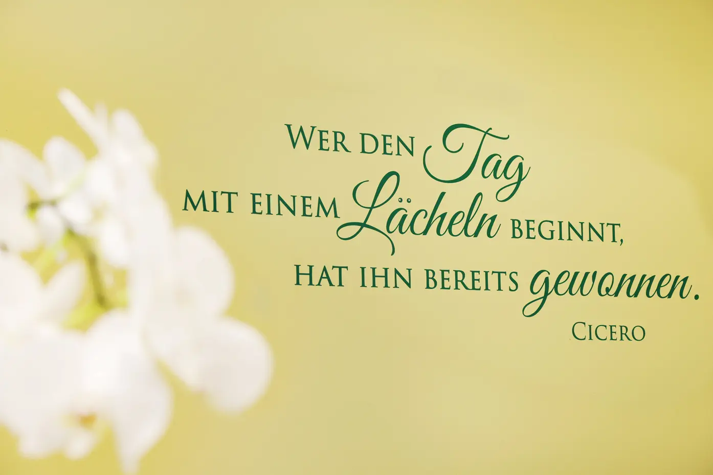 Zitat an gelber Wand: „Wer den Tag mit einem Lächeln beginnt, hat ihn bereits gewonnen.“